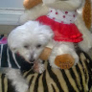 Meet your Posher, Lynn